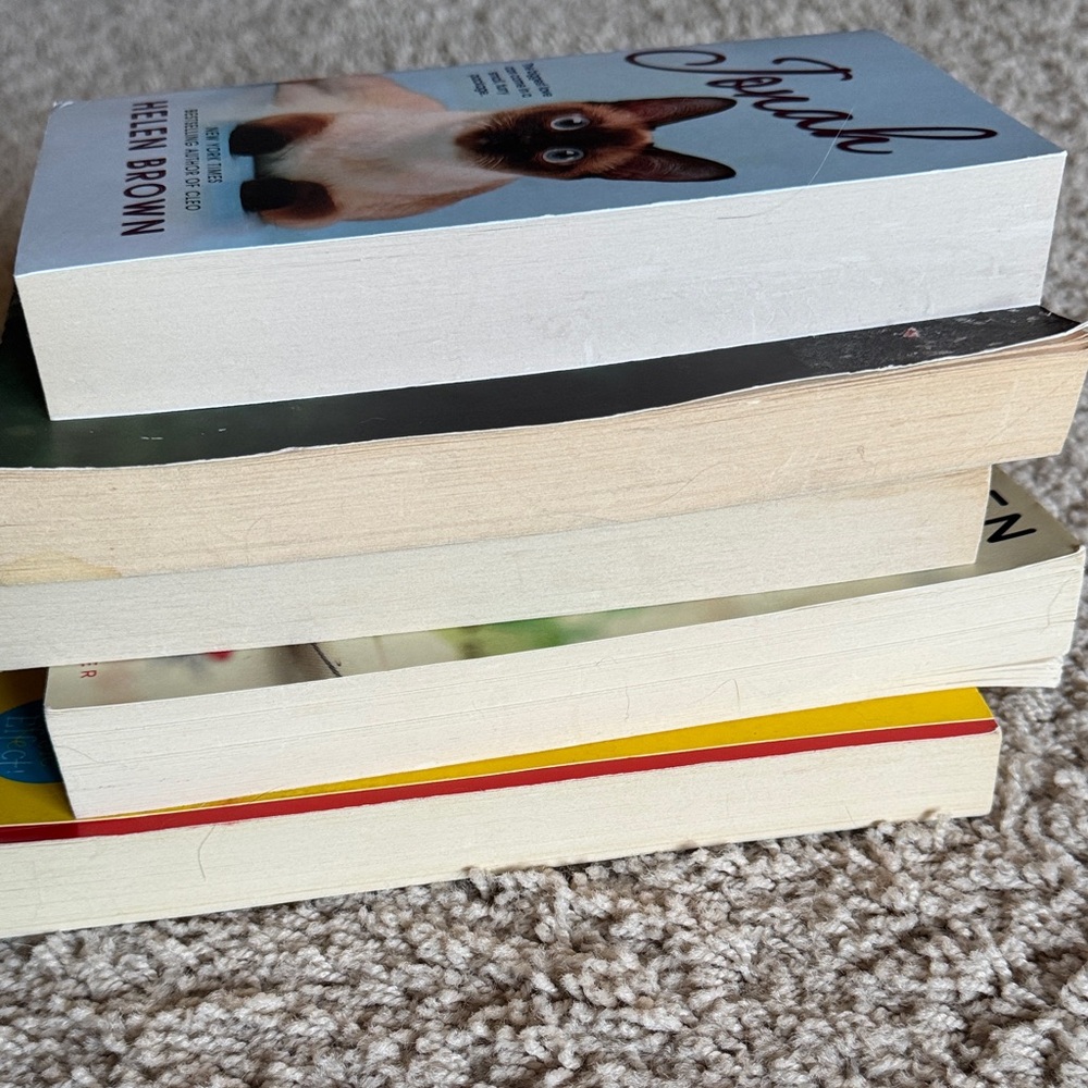 Assorted Romance Book Collection (5 books) - Picture 9 of 10